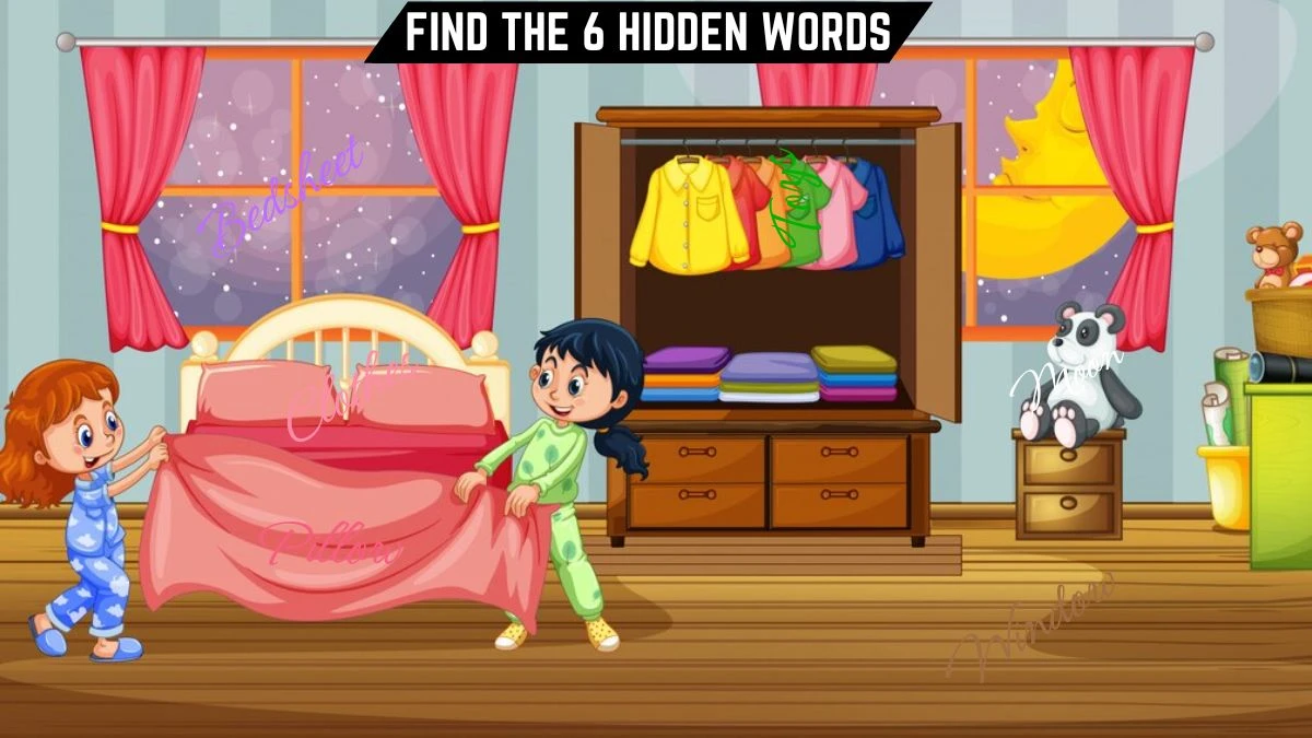 Find and Seek Puzzle: Only 2 out of 10 people can spot the 6 hidden words in this girl's bedroom image within 15 secs