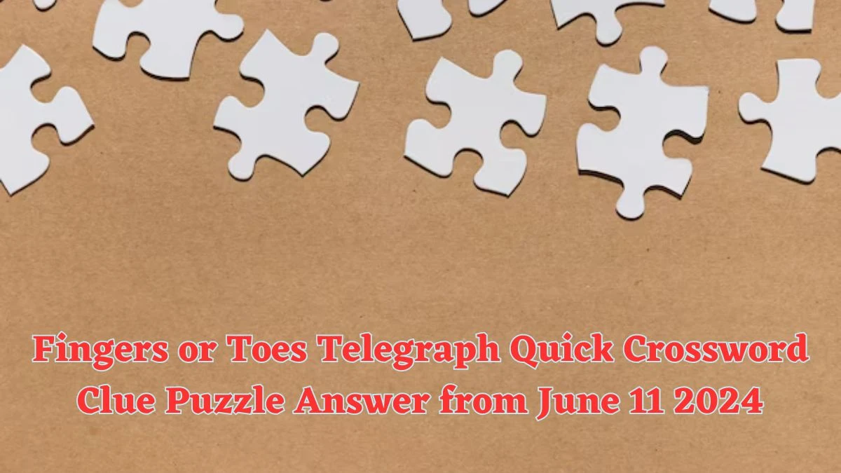 Fingers or Toes Telegraph Quick Crossword Clue Puzzle Answer from June 11 2024