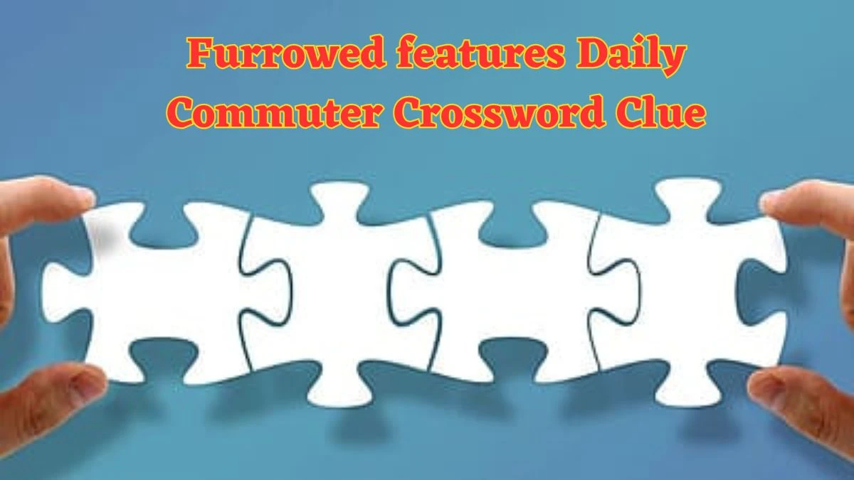 Furrowed features Daily Commuter Crossword Clue Puzzle Answer from June 12 2024