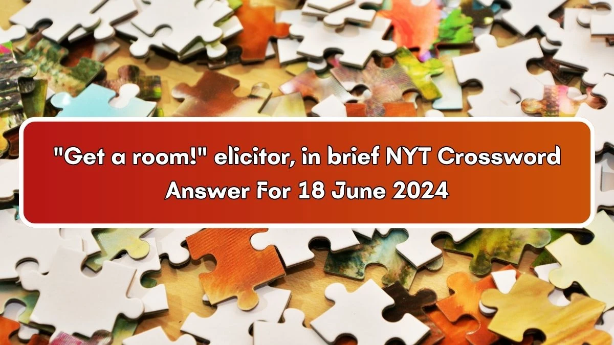 Get a room elicitor in brief NYT Crossword Clue Answers on June 18