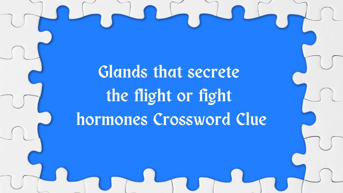 Irish Time Simplex Glands that secrete the flight or fight hormones Crossword Clue Puzzle Answer from June 14, 2024