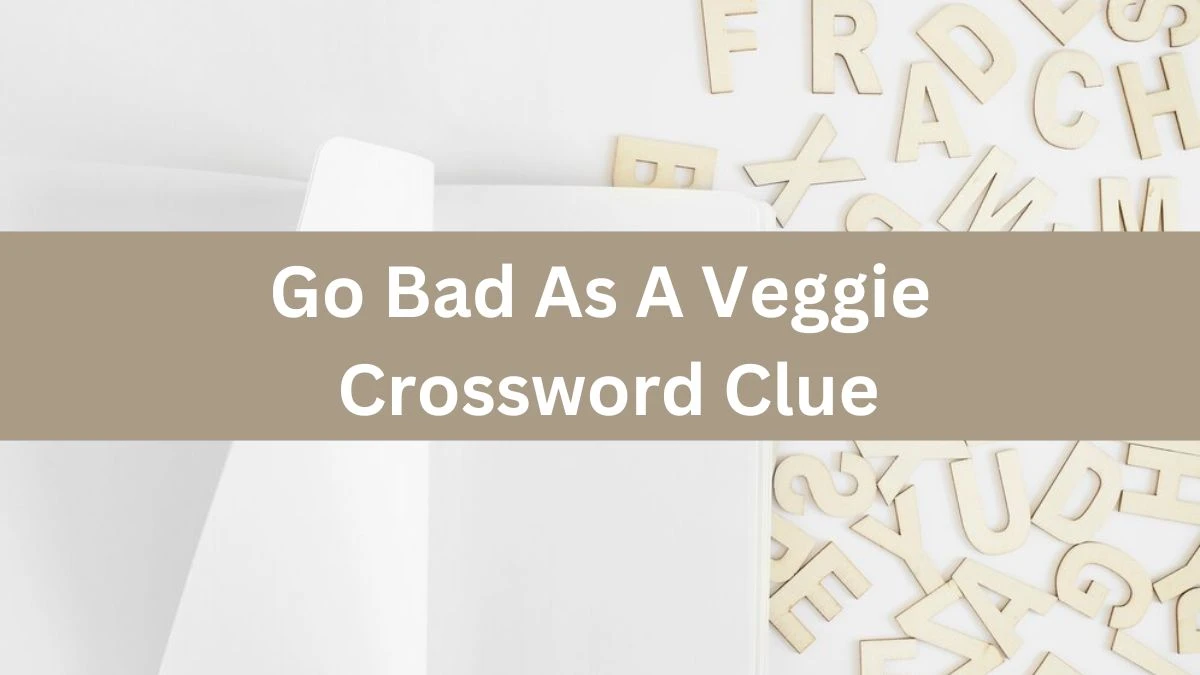 Go Bad As A Veggie Crossword Clue Daily Themed Puzzle Answer from June 13, 2024