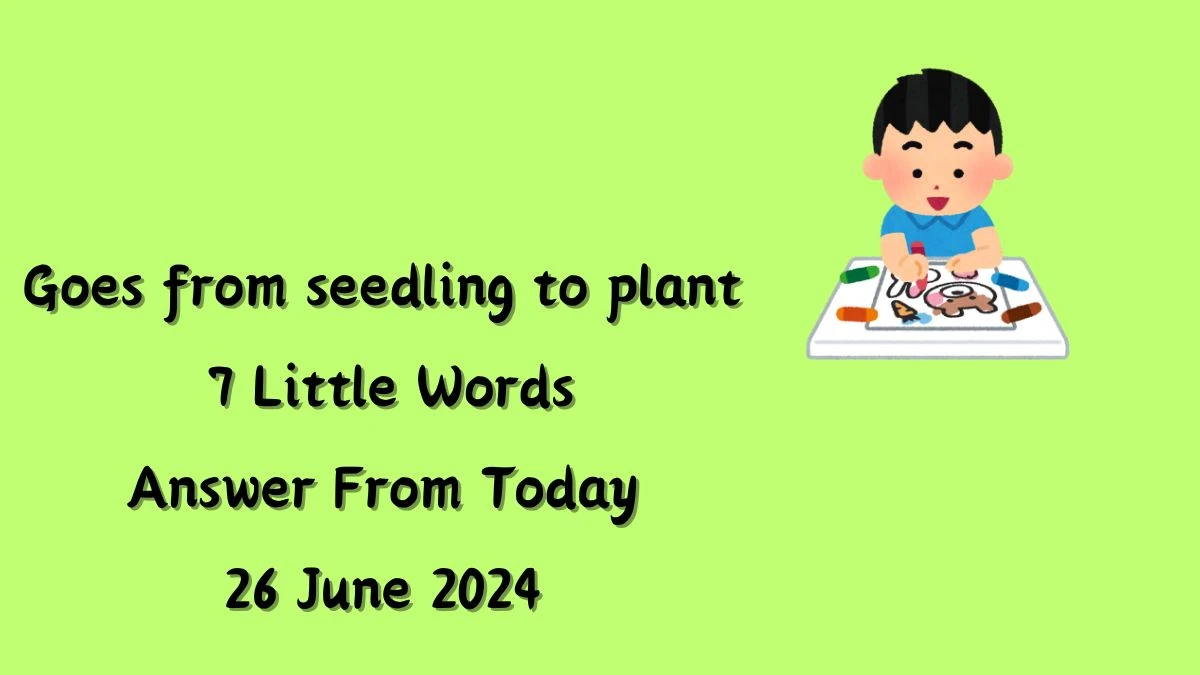 Goes from seedling to plant 7 Little Words Puzzle Answer from June 25, 2024