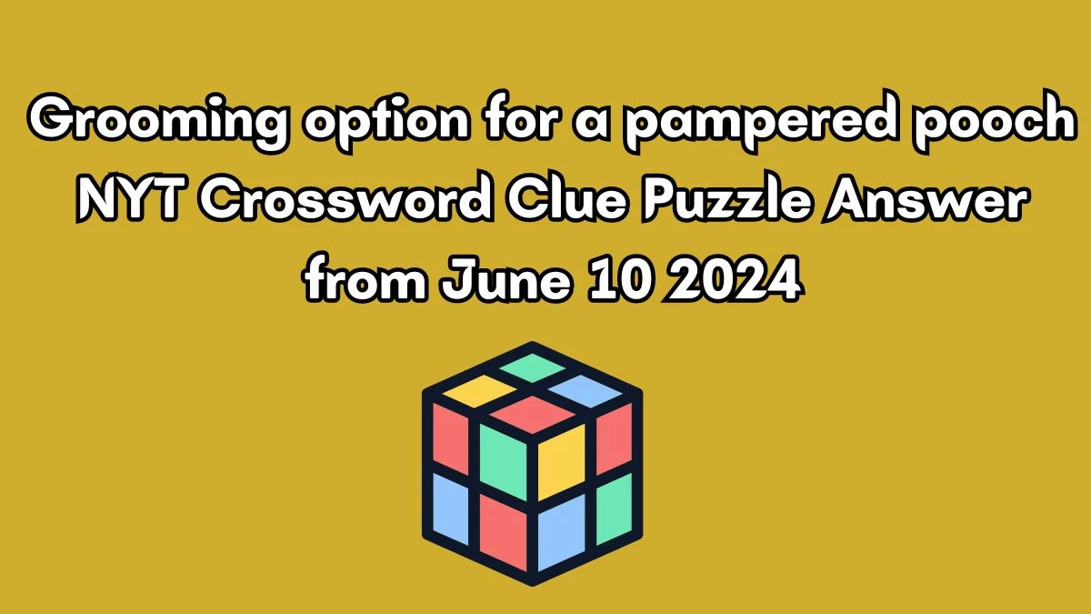 Grooming option for a pampered pooch NYT Crossword Clue Puzzle Answer from June 10 2024