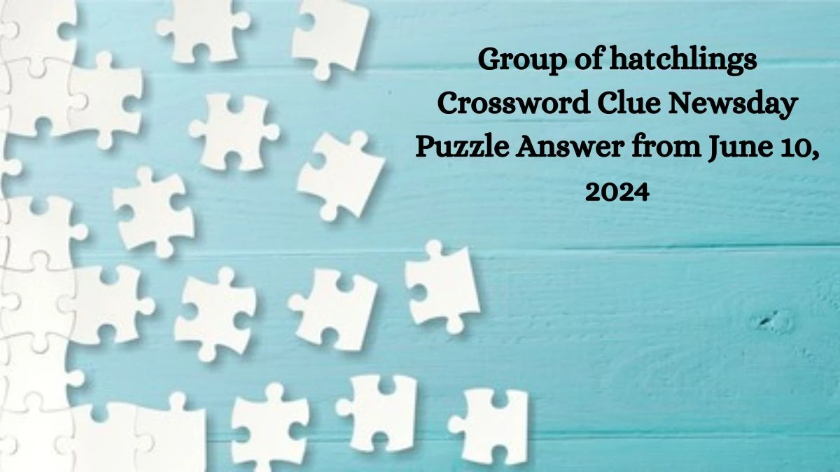 Group of hatchlings Crossword Clue Newsday Puzzle Answer from June 10, 2024