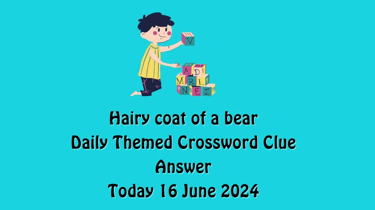 Hairy coat of a bear Crossword Clue Daily Themed Puzzle Answer from June 16, 2024