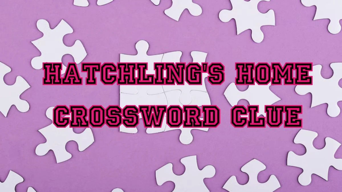 Hatchling's home Daily Commuter Crossword Clue Puzzle Answer from June 22, 2024