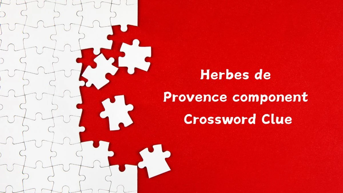 Herbes de Provence component Universal Crossword Clue Puzzle Answer from June 18, 2024