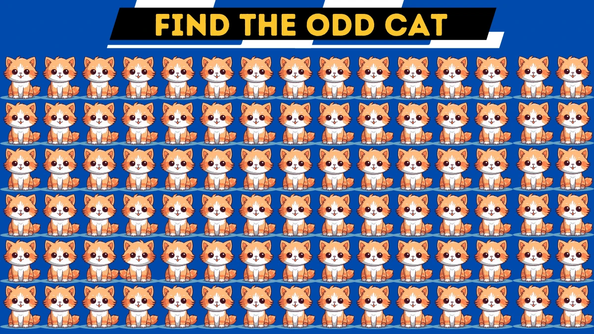 Hide and Seek Puzzle: Only Puzzle Champion Can Spot the Odd Cat in 10 Secs