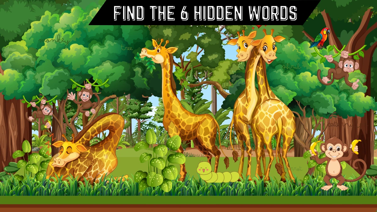 IQ Test Puzzle: Only Intelligent People Can Spot the 6 Hidden Words in this Forest Image in 12 Secs