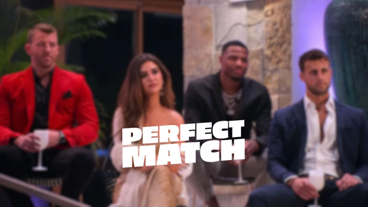 Is There a Reunion for Perfect Match? When is the Perfect Match Reunion?