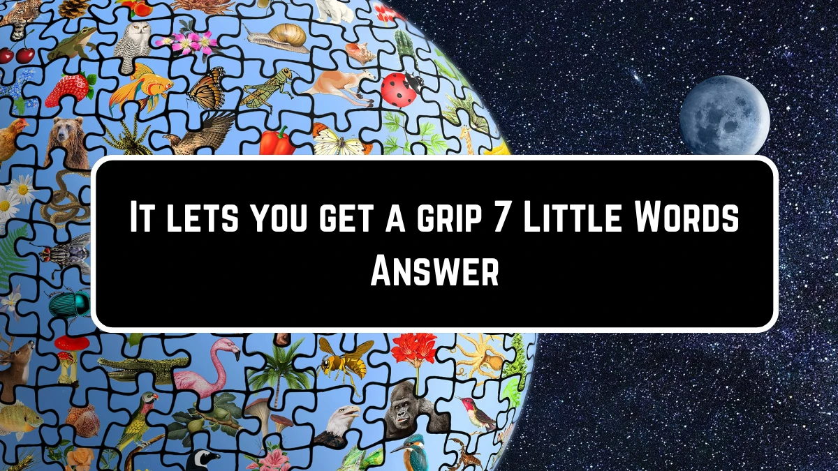It lets you get a grip 7 Little Words Puzzle Answer from June 23, 2024 ...