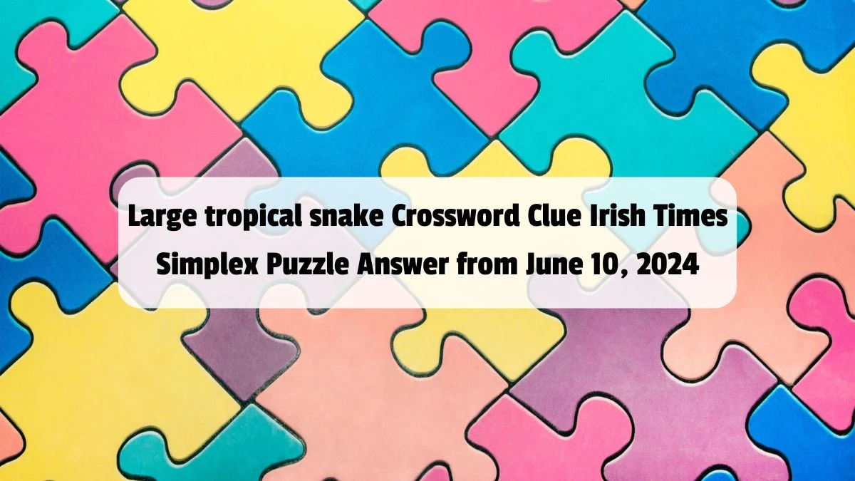Large tropical snake Crossword Clue Irish Times Simplex Puzzle Answer from June 10, 2024