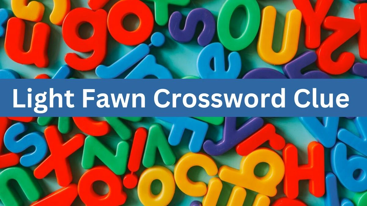 Light Fawn Crossword Clue Puzzle Answer from June 13, 2024