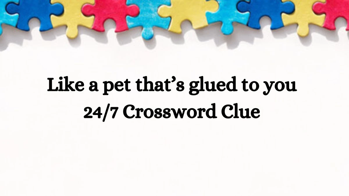 USA Today Like a pet that’s glued to you 24/7 Crossword Clue Puzzle Answer from June 25, 2024