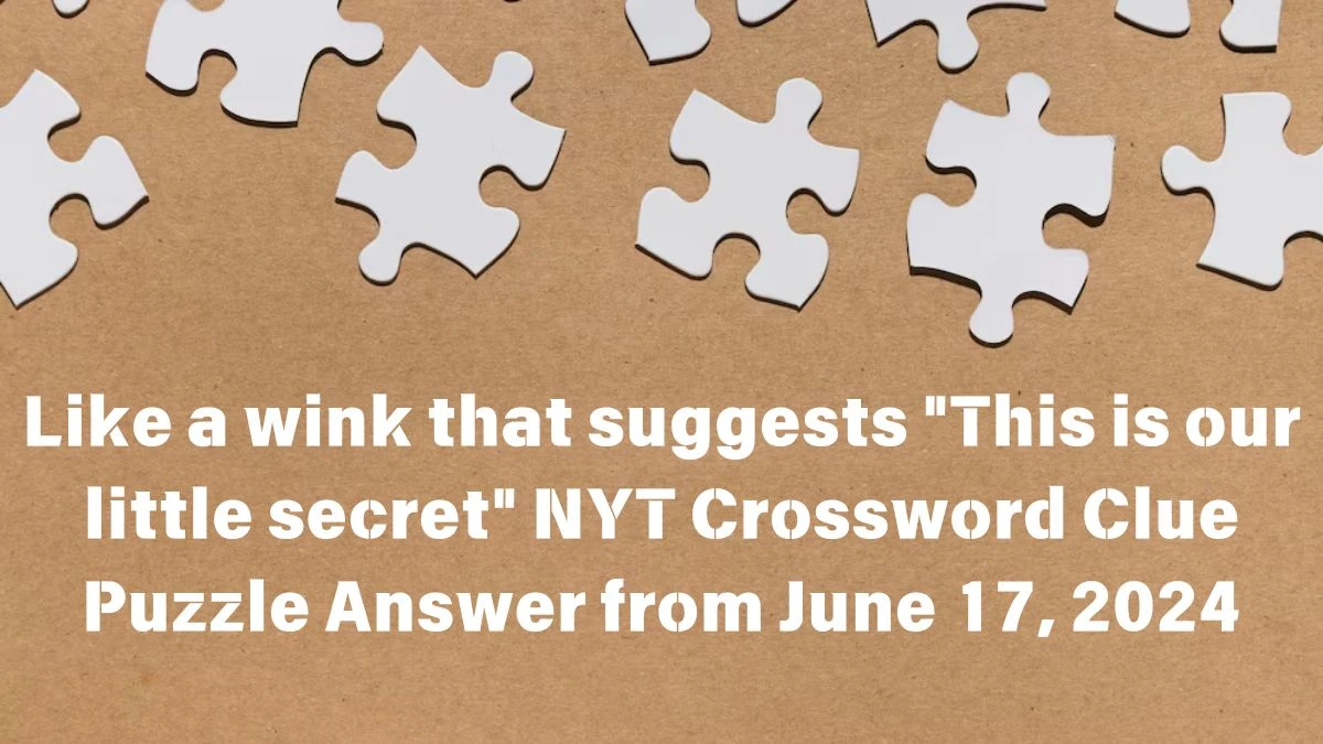 Like a wink that suggests This is our little secret NYT Crossword Clue Puzzle Answer from June 17, 2024