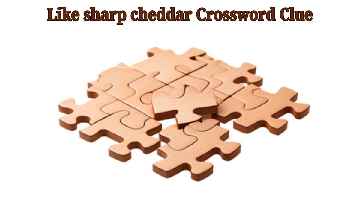 USA Today Like sharp cheddar Crossword Clue Puzzle Answer from June 24, 2024