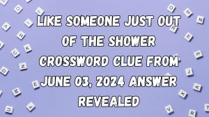 Like Someone Just Out of the Shower Crossword Clue from June 03, 2024 Answer Revealed