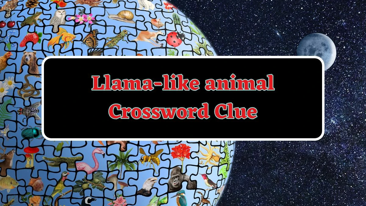 Llama-like animal Daily Commuter Crossword Clue Puzzle Answer from June 14, 2024