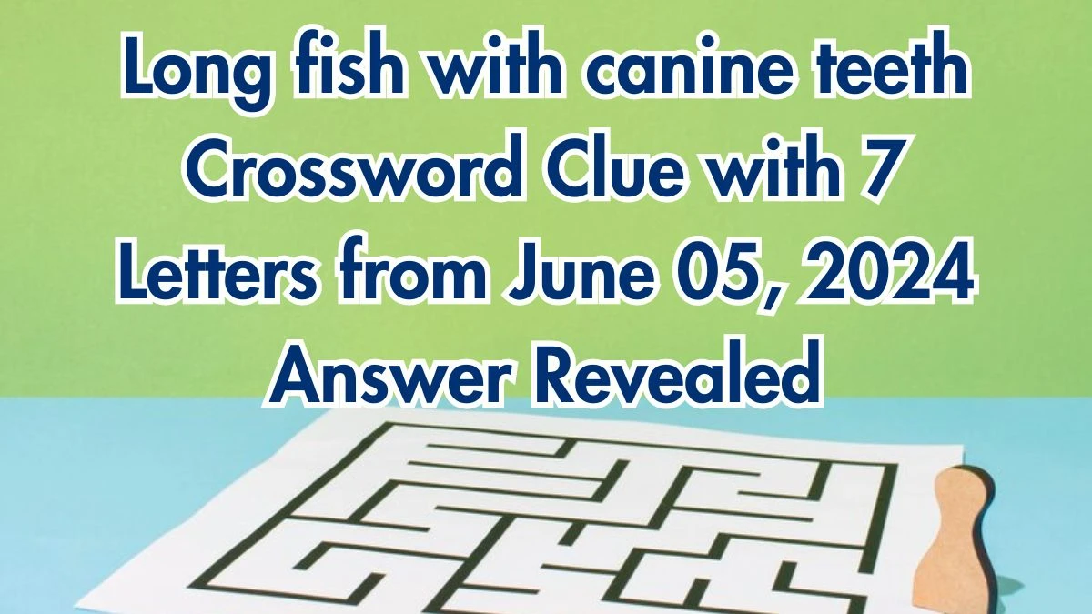 Long fish with canine teeth Crossword Clue with 7 Letters from June 05, 2024 Answer Revealed