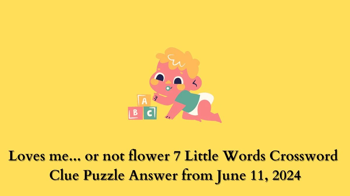 Loves me... or not flower 7 Little Words Crossword Clue Puzzle Answer from June 11, 2024