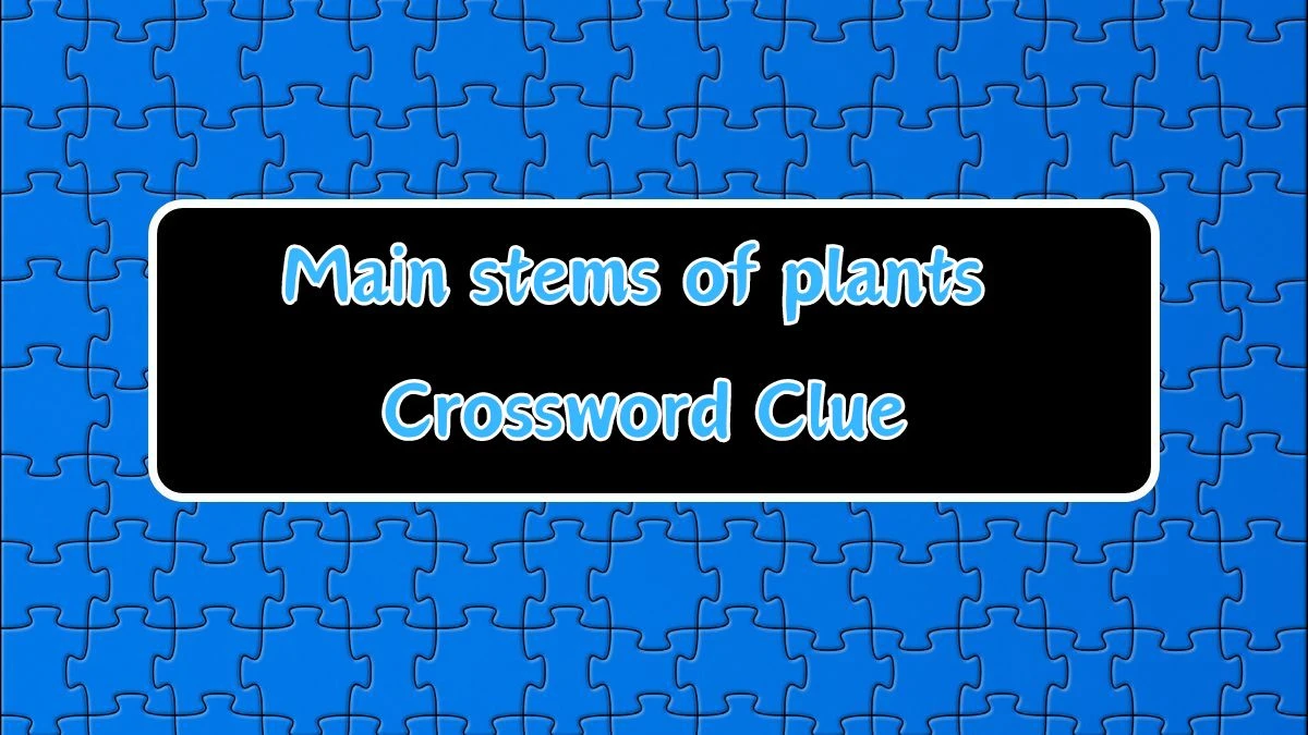 Irish Time Simplex Main stems of plants Crossword Clue Puzzle Answer from June 13, 2024