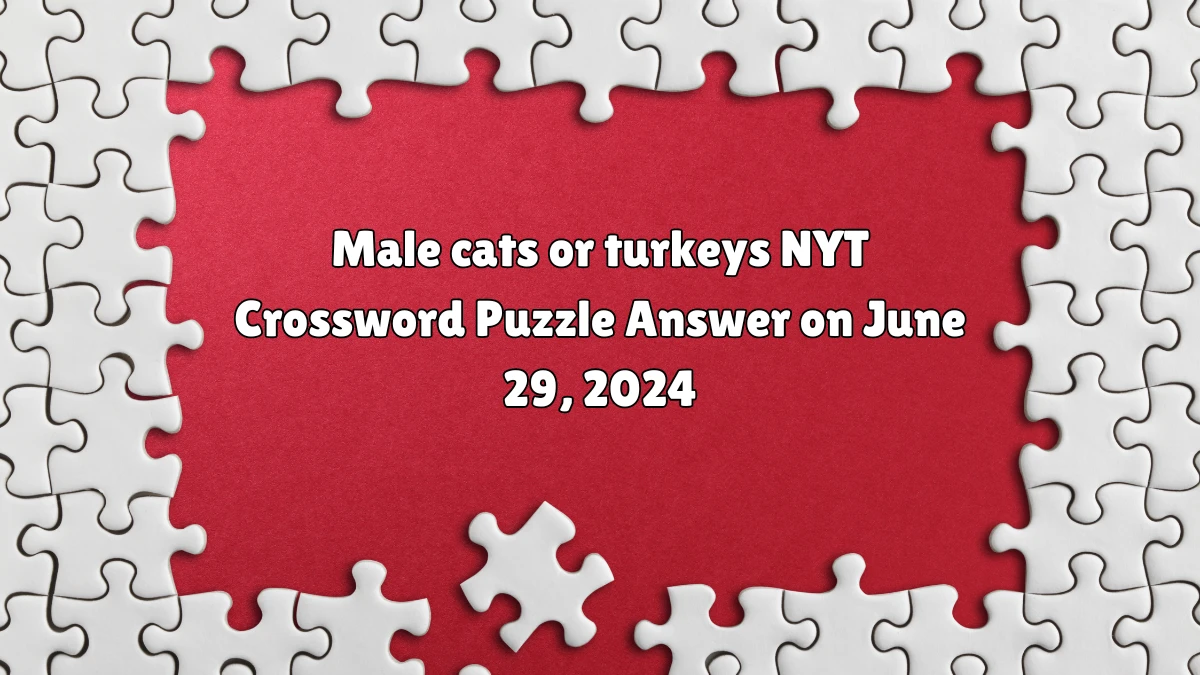Male cats or turkeys NYT Crossword Clue Puzzle Answer from June 29, 2024
