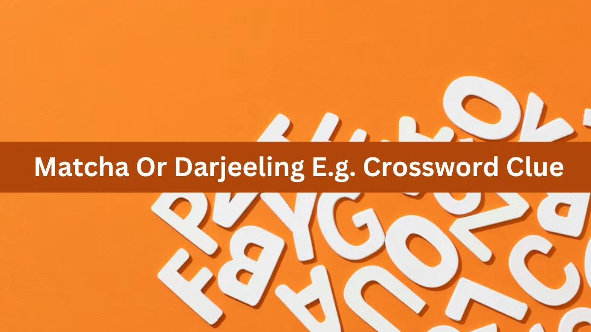 Matcha Or Darjeeling E.g. Crossword Clue Daily Themed Puzzle Answer from June 26, 2024