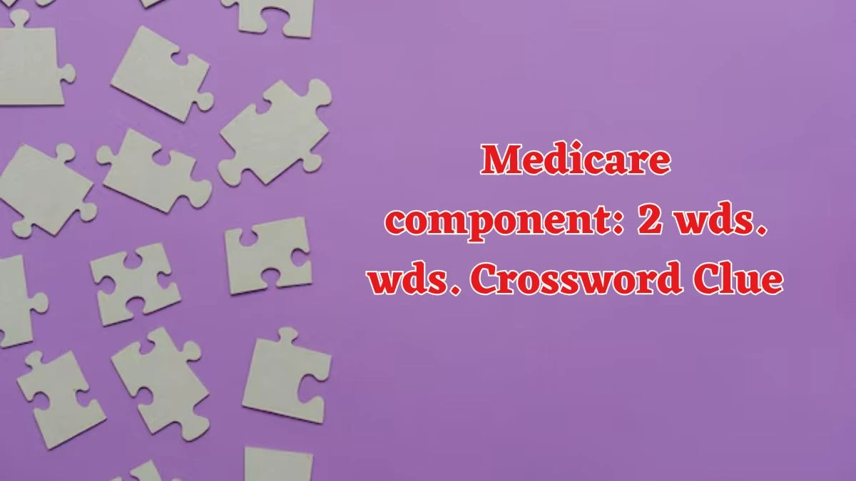 Medicare component: 2 wds. Daily Commuter Crossword Clue Puzzle Answer from June 14, 2024