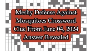 Meshy Defense Against Mosquitoes Crossword Clue From June 04, 2024 Answer Revealed