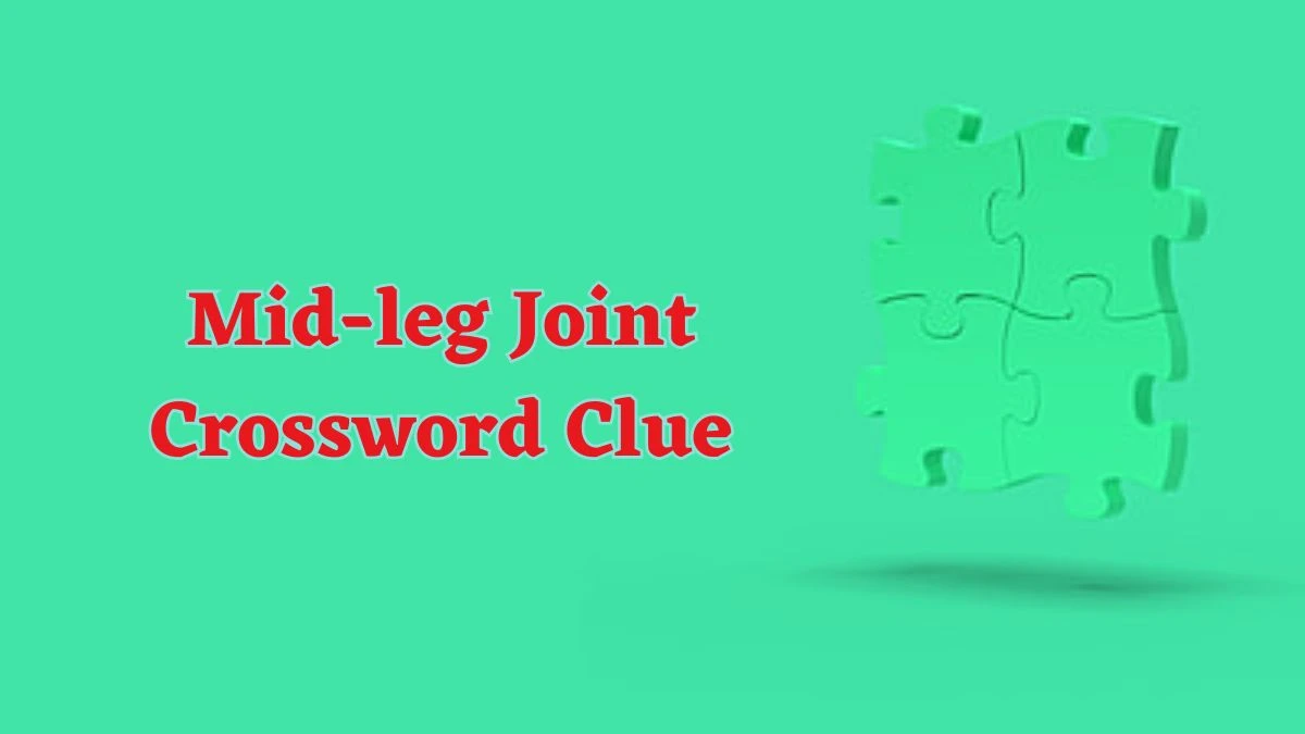 Mid-leg Joint Daily Commuter Crossword Clue Puzzle Answer from June 15, 2024