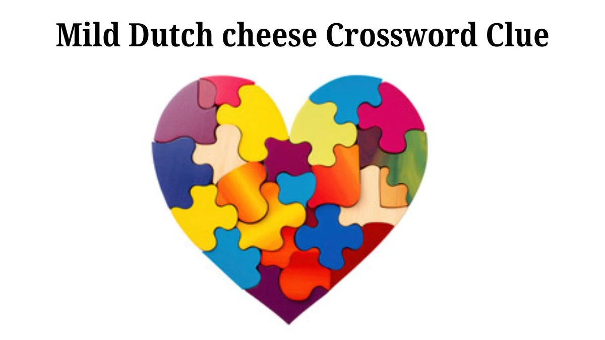 NYT Mild Dutch cheese Crossword Clue Puzzle Answer from June 25 2024