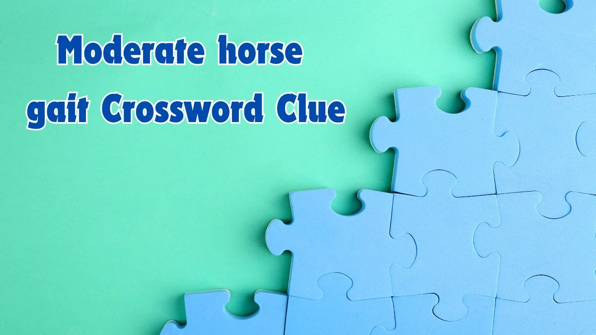 Moderate horse gait Universal Crossword Clue Puzzle Answer from June 17, 2024