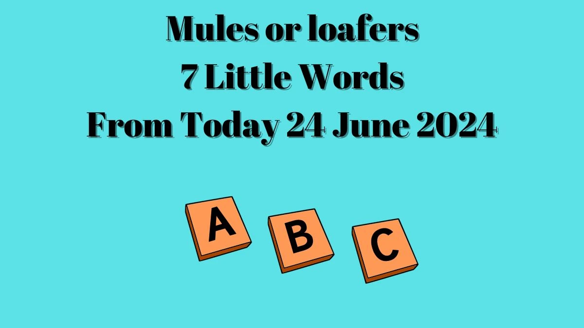 Mules or loafers 7 Little Words Puzzle Answer from June 24, 2024