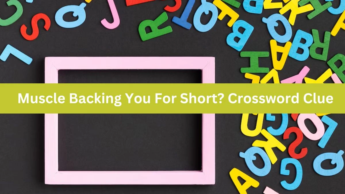 Muscle Backing You For Short? Daily Themed Crossword Clue Puzzle Answer from June 15, 2024