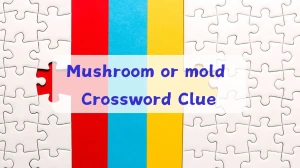 Universal Mushroom or mold Crossword Clue Puzzle Answer from June 20, 2024