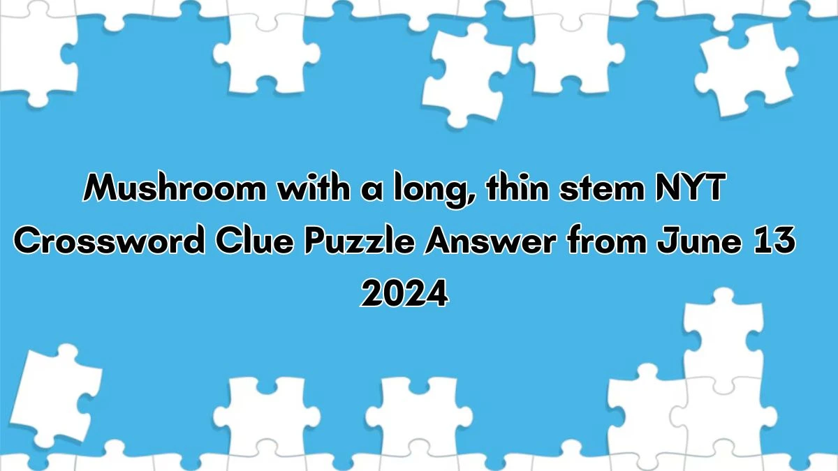 Mushroom with a long, thin stem NYT Crossword Clue Puzzle Answer from June 13, 2024