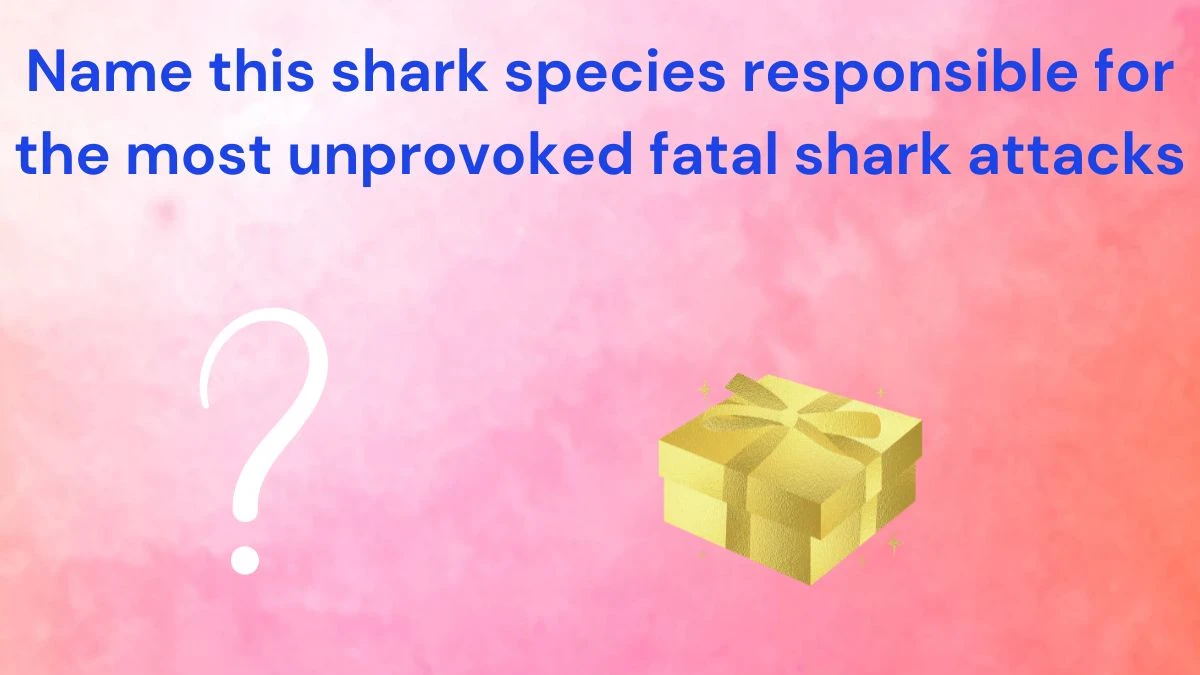 Name this shark species responsible for the most unprovoked fatal shark attacks. Amazon Quiz Answer Today June 19, 2024