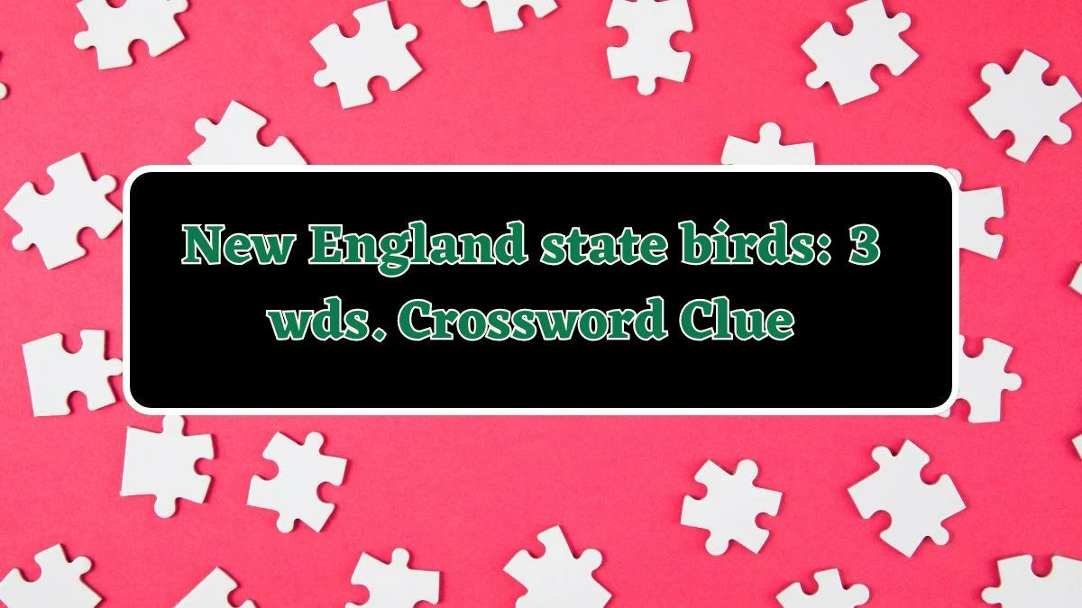 New England state birds: 3 wds. Daily Commuter Crossword Clue Puzzle Answer from June 14, 2024