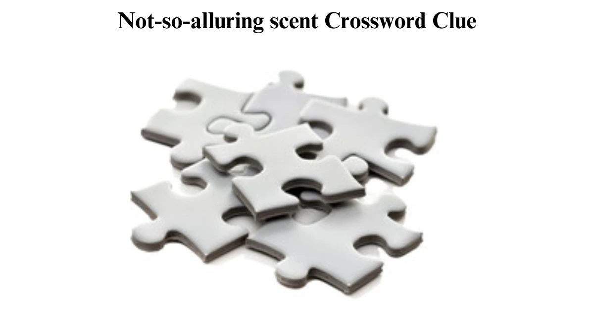 USA Today Not-so-alluring scent Crossword Clue Puzzle Answer from June 26, 2024