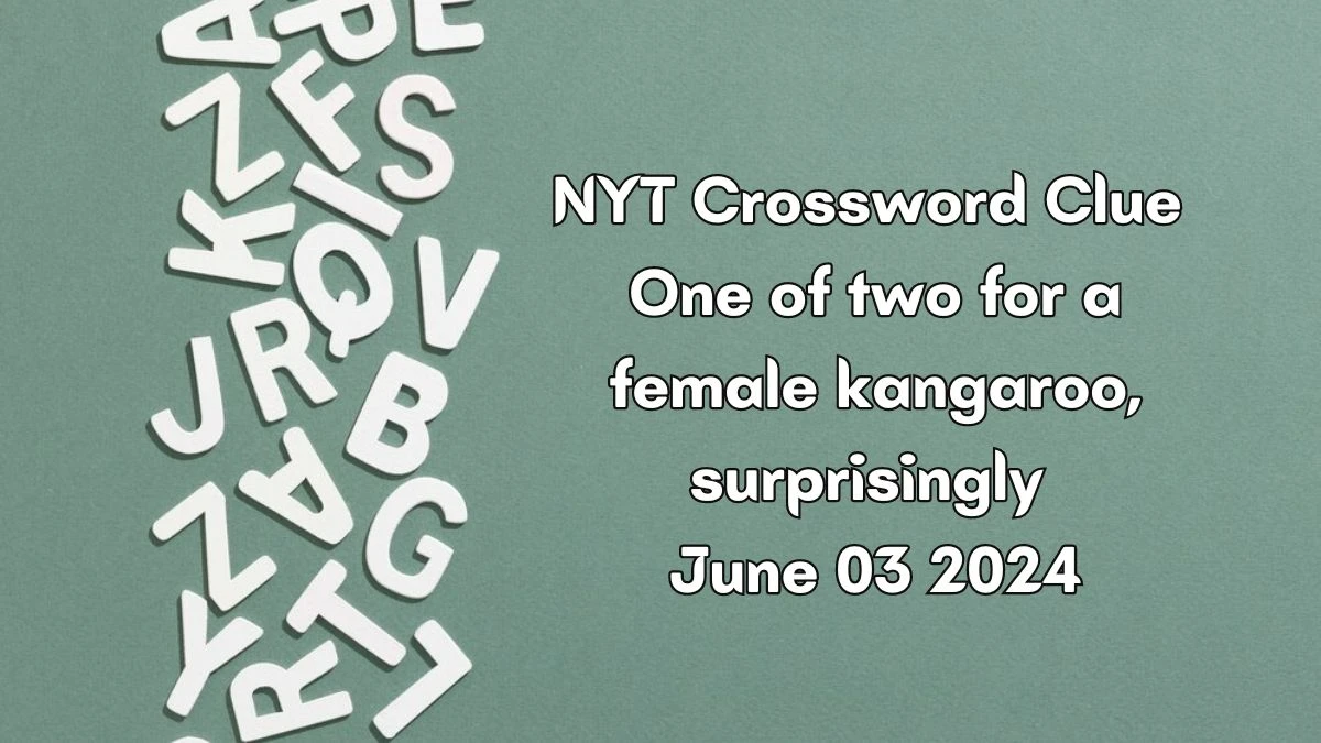 NYT Crossword Clue One of two for a female kangaroo, surprisingly June 03 2024