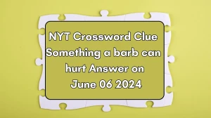 NYT Crossword Clue Something a barb can hurt Answer on June 06 2024