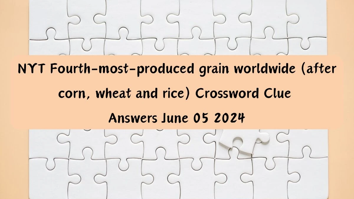 NYT Fourth-most-produced grain worldwide (after corn, wheat and rice) Crossword Clue Answers June 05 2024