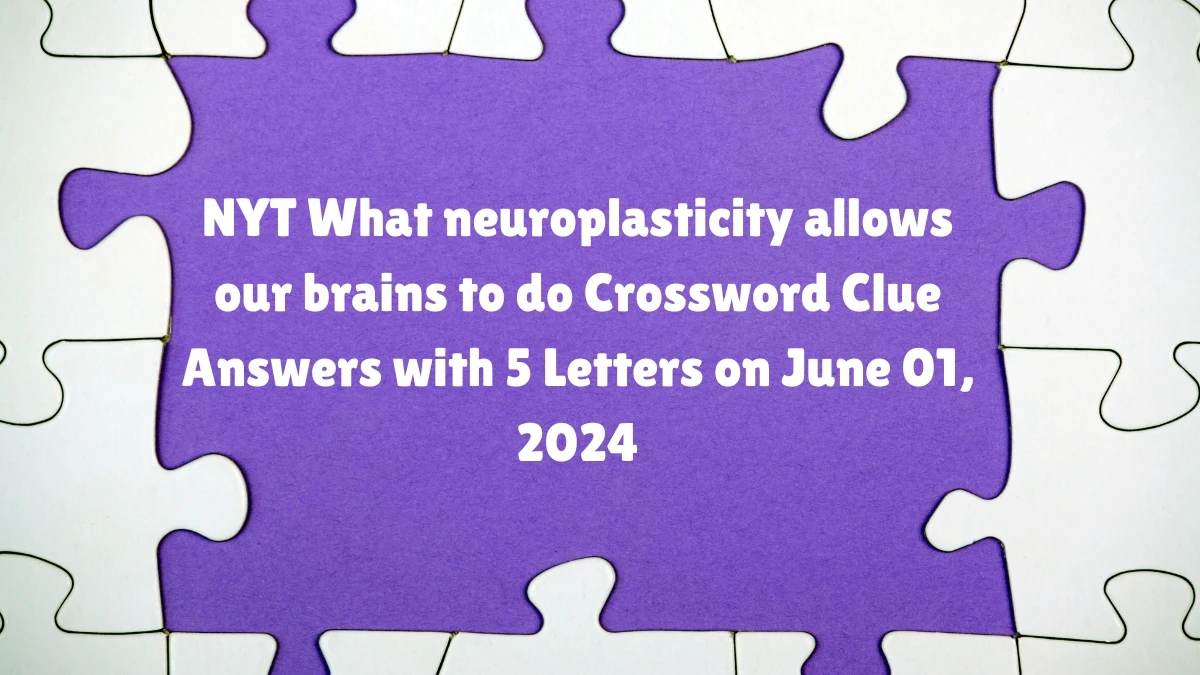 NYT What neuroplasticity allows our brains to do Crossword Clue Answers with 5 Letters on June 01, 2024