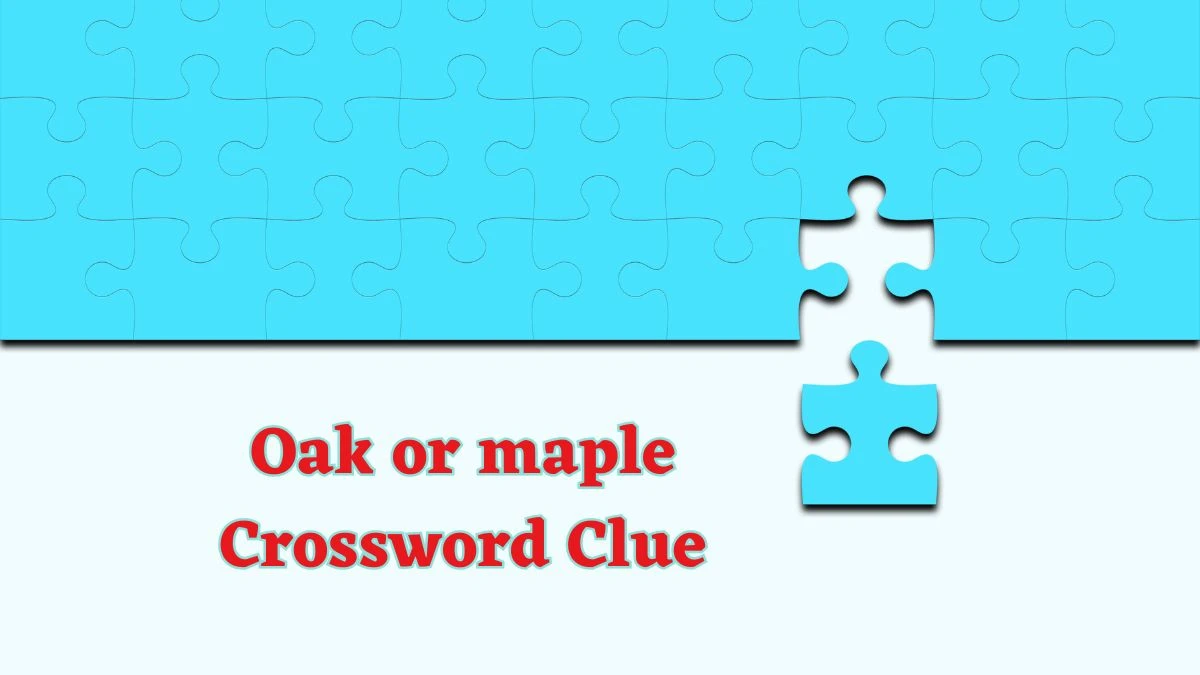 Oak or maple Daily Commuter Crossword Clue Puzzle Answer from June 14, 2024