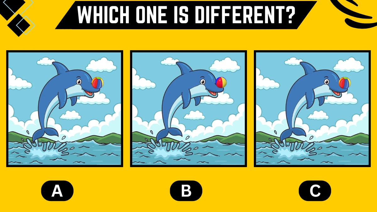 observation brain challenge only detective minds can spot the different dolphin in 8 secs 667a6f9b1bc9236169645 1200