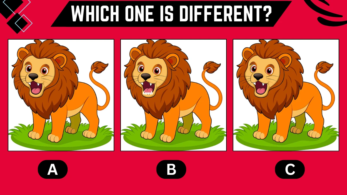 Observation Brain Challenge: Only highly attentive eyes can spot the Different Lion in 8 Secs