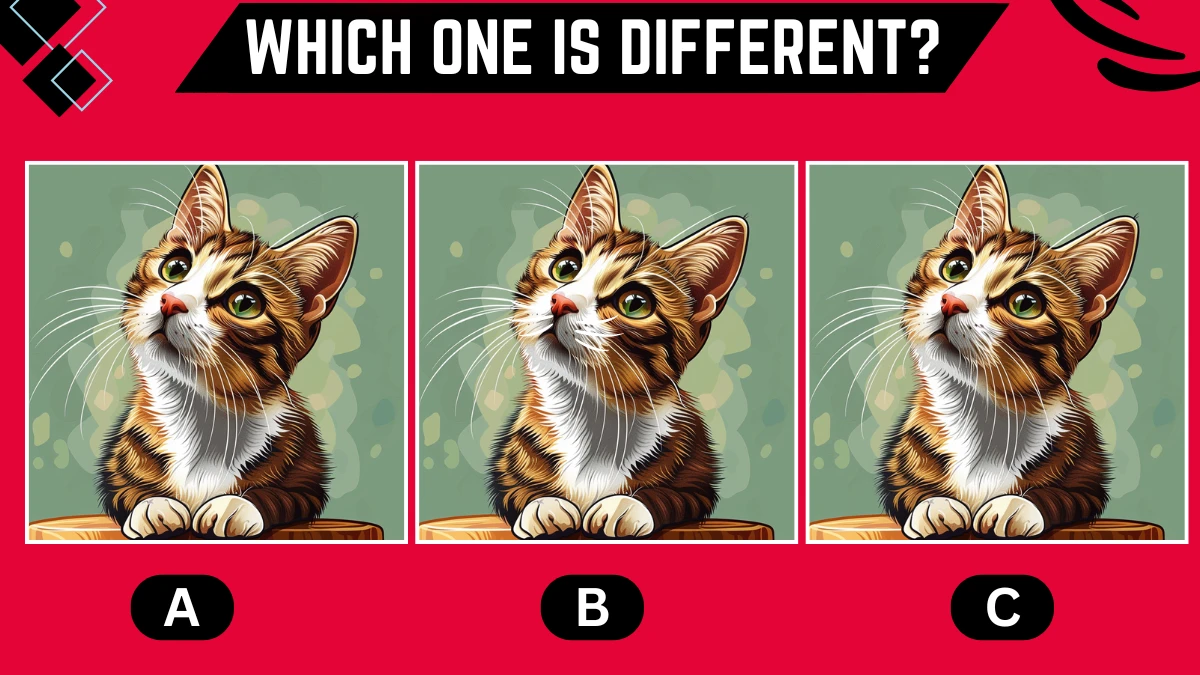 observation brain challenge only people with extraordinary vision can spot the different 667bbc758755697498149 1200