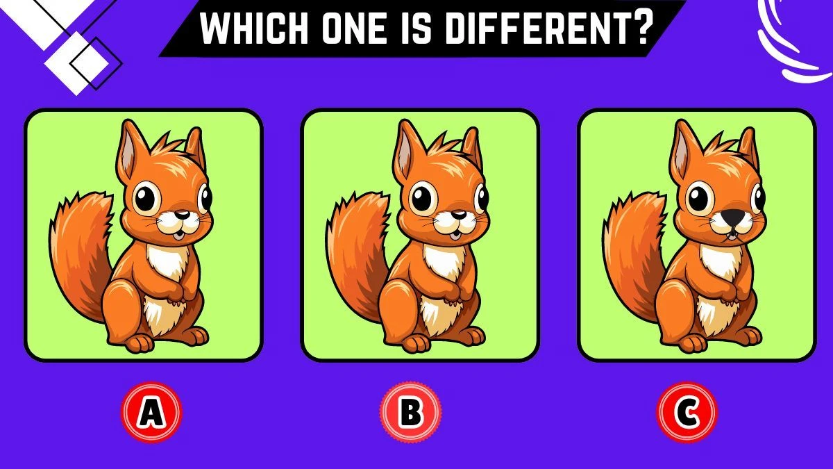 Observation Brain Challenge: Only the most attentive eyes can spot the Different Squirrel in 9 Secs