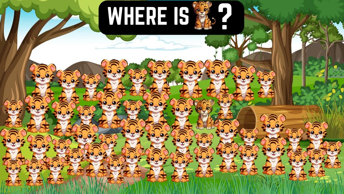 Observation Brain Test: Only Supervision People Can Spot the Different Tiger in this Image in 10 Secs